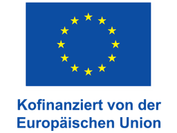 European Union European Union Logo